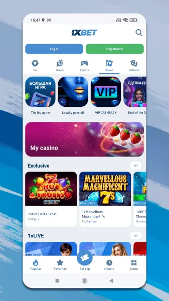  À propos de l'application
